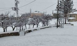 'Her şey devletten beklenmez' diyerek köy yollarını kendi imkanlarıyla temizlediler