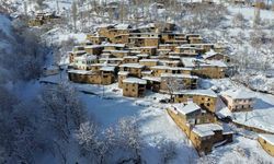 Hizan'ın taş evleri kar altında kartpostallık görüntüler oluşturdu