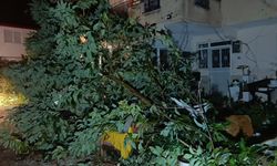 Hortum Manavgat'ı savaş alanına çevirdi