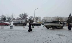 Iğdır'da kar yağışı yeniden başladı