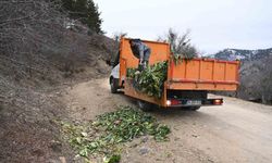 Isparta'da kışın aç kalan yaban hayvanlarına duyarlı dokunuş