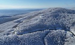 Istranca ormanlarında kar manzaraları