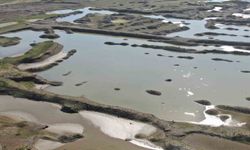 İzmir'de yağışlar barajlara nefes aldırdı