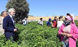 Kahramanmaraş Büyükşehir'den 2025'te çiftçiye 100 milyonluk destek