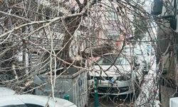 Kamyon çarptı, çınar ağacı araçların üzerine devrildi