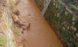 Kanala düşen köpeği itfaiye ekipleri kurtardı