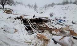 Karaman'da karın ağırlığına dayanamayan ahırın çatısı çöktü