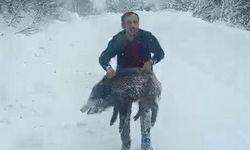 Karlı yolda domuzu elleriyle yakalayan adam konuştu: 'Bir anı olsun diye yakaladım, kimseye tavsiye etmem'