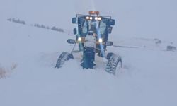 Kars'ta 119 köy yolu ulaşıma kapalı