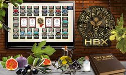 Karya Farma HBX Ar-Ge; 'İncir ve Zeytin Bilimsel Araştırmalar Akademisi' kuracak