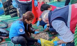Kastamonu'da beyaz kum midyesi avcılığına yönelik denetimler sürüyor