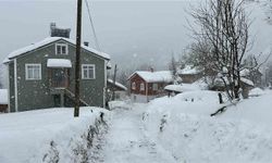 Kastamonu'da kar 167 köy yolunu ulaşıma kapattı