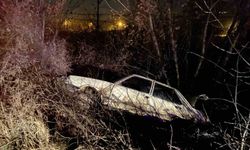 Kastamonu'da otomobil ağaca çarptı: 1 yaralı