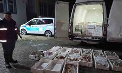 Kastamonu'da yasa dışı avlanan 1,5 ton balığa el konuldu