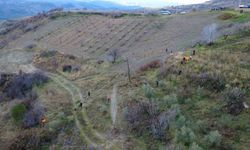Kayıp olarak aranan kadın dere yatağında ölü bulundu