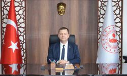 Kaymakam Demirer: 'Tatvan'da tarım, hayvancılık ve gıda güvenliği alanında yoğun bir çalışma yürütüldü'