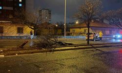 Kaza savrulan otomobil ağacı ikiye böldü: 4 yaralı