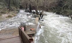 Kazdağların'da ani kar erimesi ve sağanak yağış nedeniyle dereler yataklarına sığmıyor