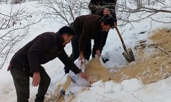 Kemah'ta yaban hayatı unutulmadı