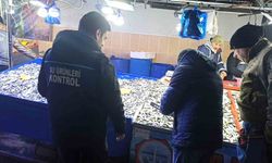 Kırklareli'nde su ürünleri denetimleri