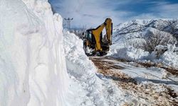 Kırsal mahallelerde karla mücadele devam ediyor