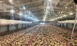 Kırsalda üretime 33,6 milyon liralık can suyu