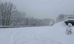 Kocaeli'nin yüksek kesimlerine lapa lapa kar yağıyor