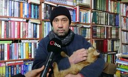 Konteynerde hayata tutunan sahaf, sokak kedilerini yalnız bırakmadı