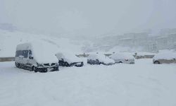 Kulp'ta 10 yılın en yoğun kar yağışı: Araçlar kar altında kaldı