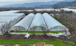 Lodostan zarar gören seralara Büyükşehir desteği