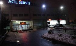 Malatya'da karbonmonoksit zehirlenmesinde sayı 113'e yükseldi