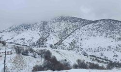 Malatya'da kırsal kesimlerde kar etkili oluyor