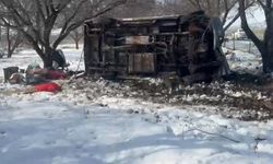 Malatya'da kontrolden çıkan minibüs kayısı bahçesine uçtu