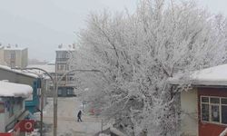 Malazgirt'te dondurucu soğuklar görsel şölene dönüştü