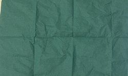 Manisa'da aranan şüpheliden 2 bin 500 içimlik uç bonzai çıktı