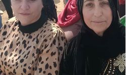 Mardin'de iki kardeşin evde ölü bulunmasına ilişkin 1 şahıs tutuklandı