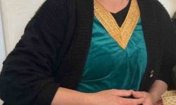 Mardin'de iki kardeşin evde ölü bulunmasına ilişkin bir şüpheli gözaltına alındı