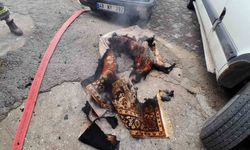 Menteşe Kentsel sit alanındaki yangın korkuttu