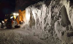 Meteorolojiden 4 il için çığ uyarısı