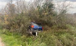 Milas'ta araç şarampole uçtu: 1 yaralı