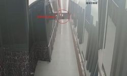 Molotoflu saldırı kamerada, suç örgütü özel harekât baskınıyla yakalandılar