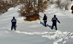 Mutki Belediyesi zorlu kış şartlarında yaban hayatını unutmadı