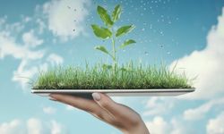 OEDAŞ iklim değişikliğiyle mücadelesini küresel standartlarda sürdürüyor