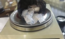 Ordu'da uyuşturucu operasyonu: 2 tutuklama