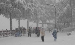Ordu'da yeni yılın ilk kar yağışı etkili oldu