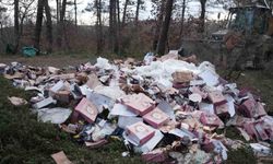 Ormanı çöplüğü çevirmişler