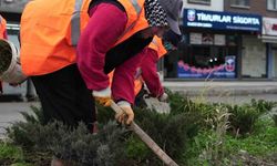 Park ve yeşil alanlarda peyzaj çalışmaları sürüyor