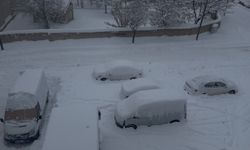 Patnos'ta kar hayatı durdurdu