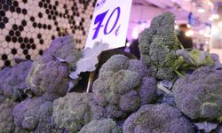 Pazarın gözdesi kış sebzeleri oldu