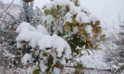 Pütürge'de kartpostallık görüntüler